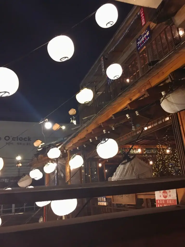 Gaehwagi Yojeong 개화기요정 amazing Izakaya/ restaurant in Hapjeong, Seoul