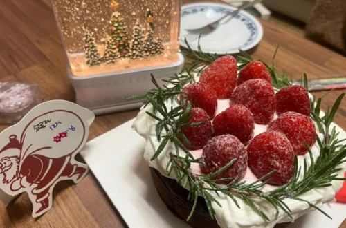 Gluten-Free Christmas Cake, Cafe Ilan, Beomgye, South Korea